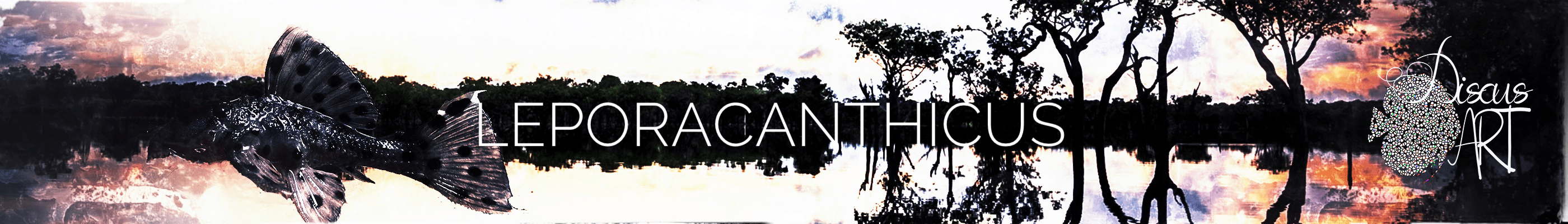 HEADERLEPOR