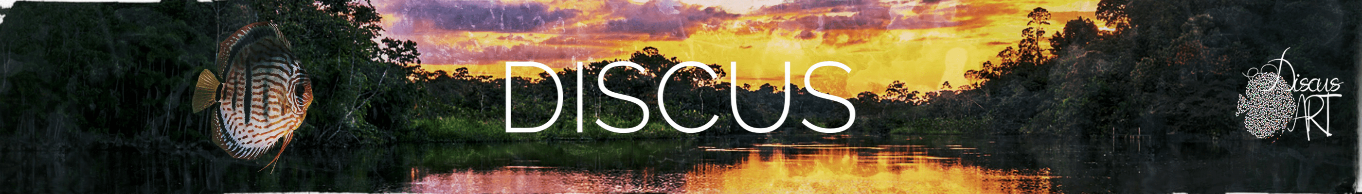 HeaderDISCUS