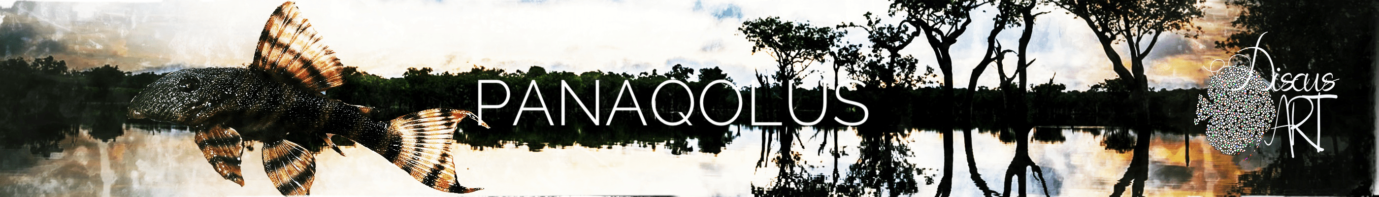 headerPANAQOLUS