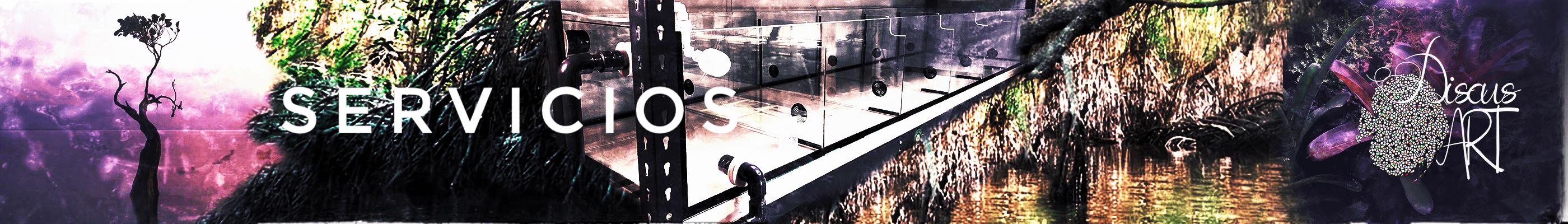HEADERSERVICIOS