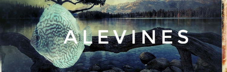Pecesdiscoalevines