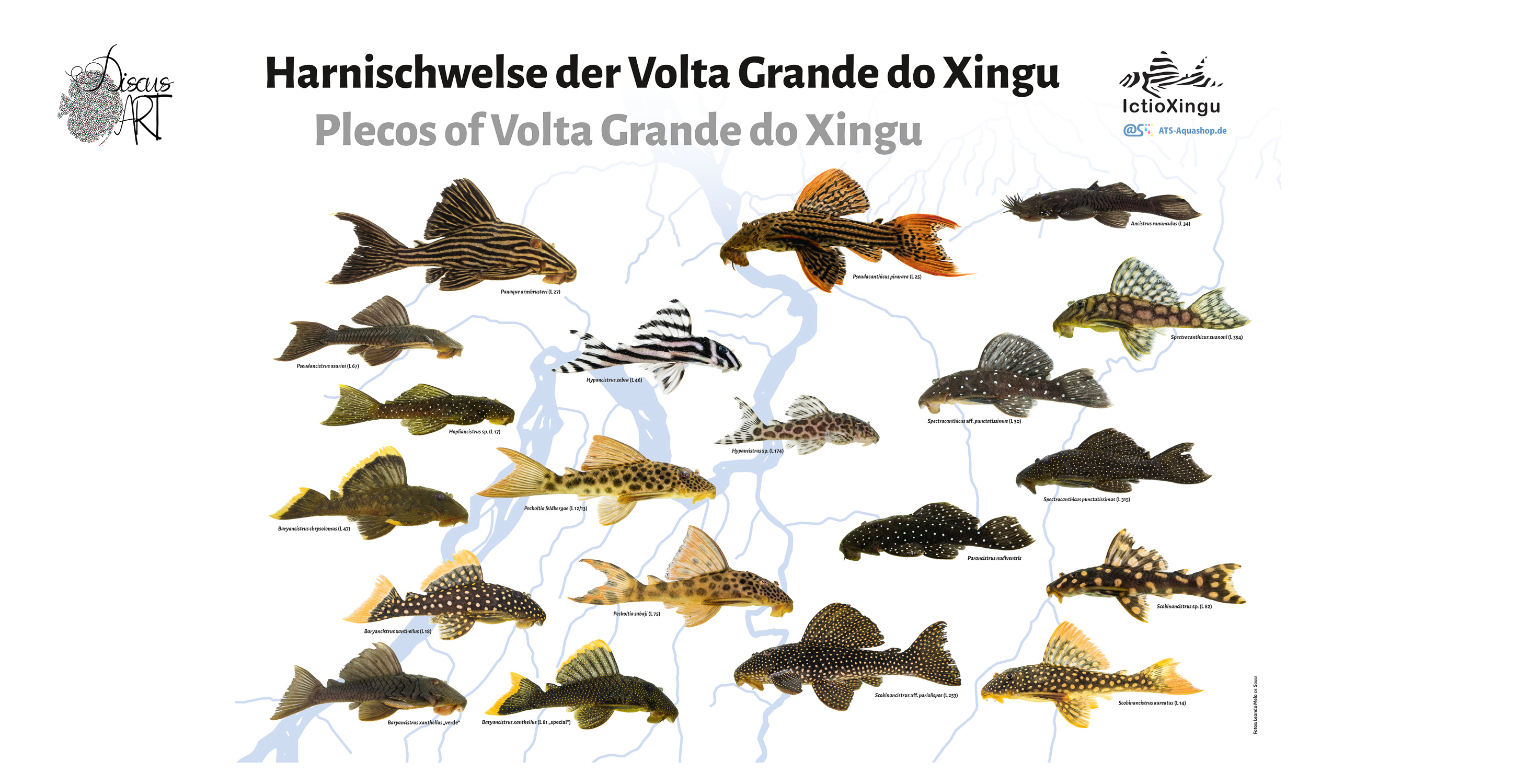 xingu Posters A1 - DiscusArt