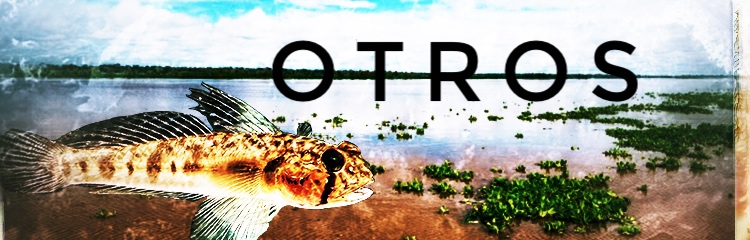 + Peces - DiscusArt