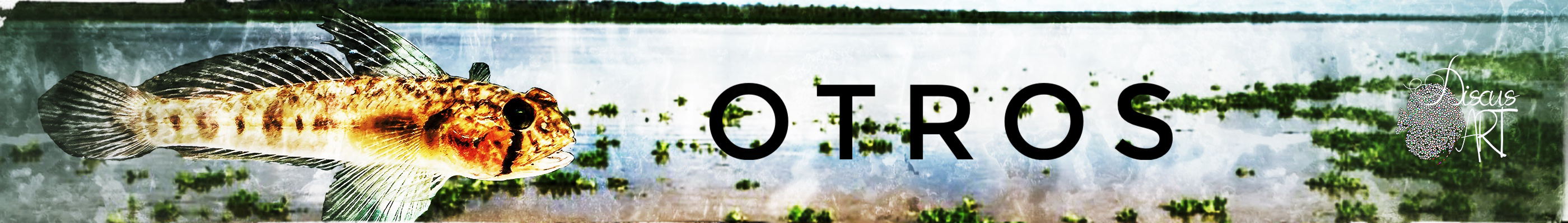 otros peces - DiscusArt