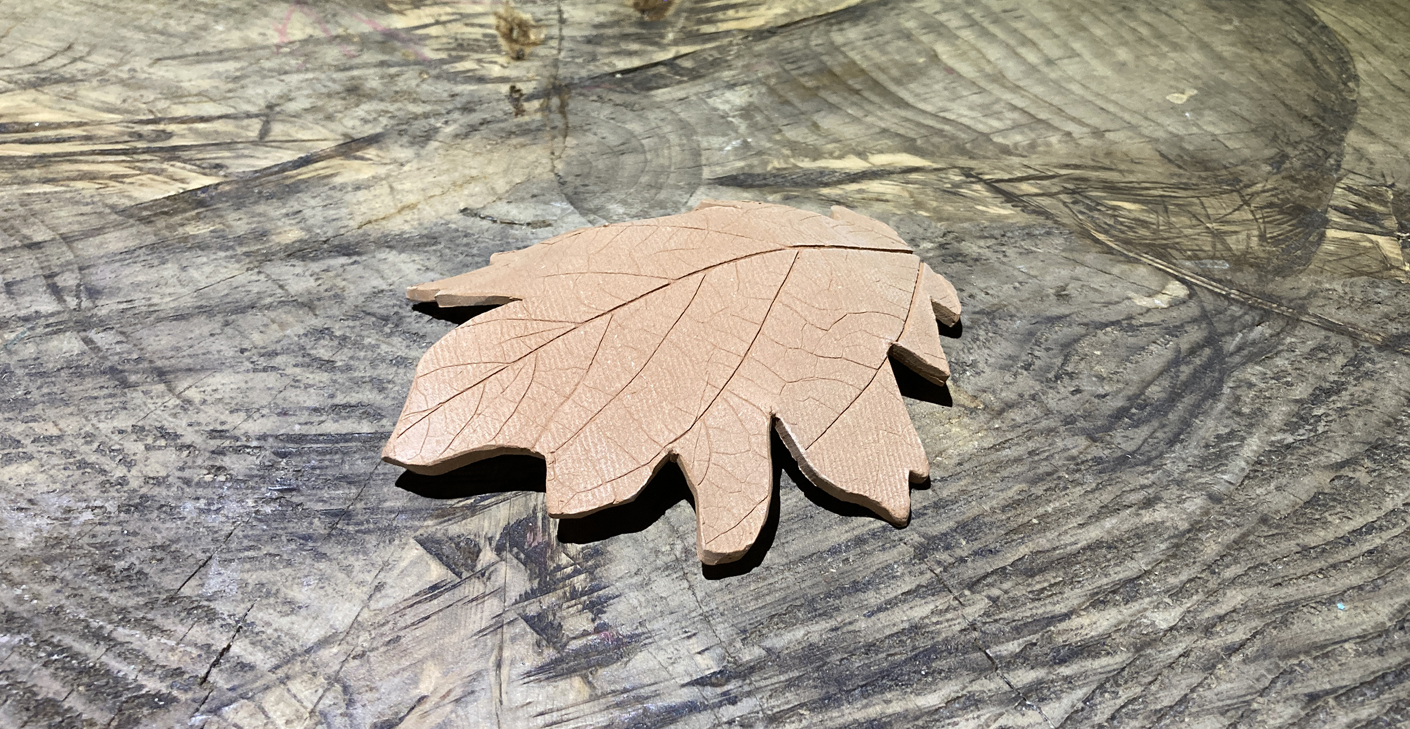 roble2 Oak Leaf - DiscusArt