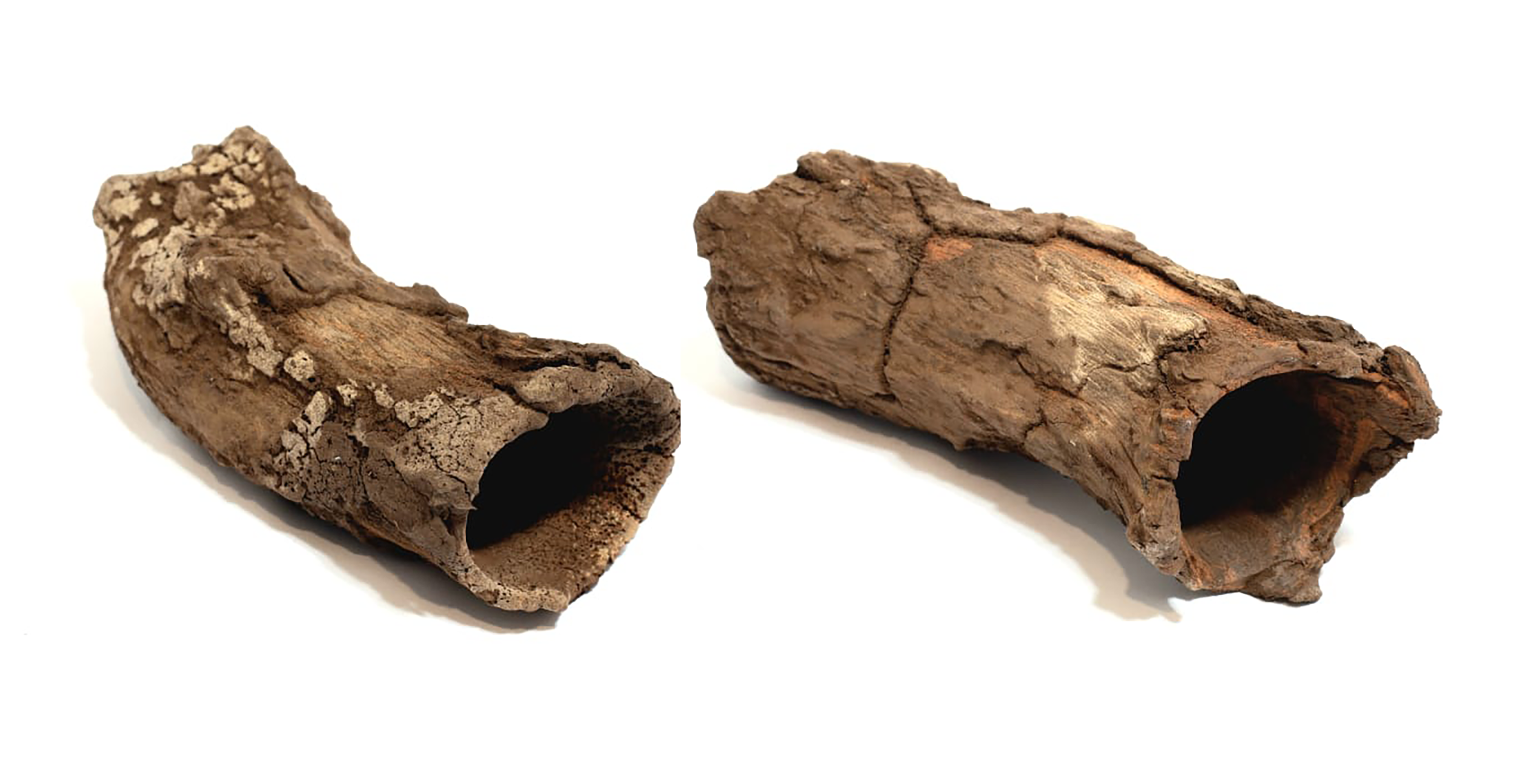 drifwood mini Red Mangrove root cave - DiscusArt