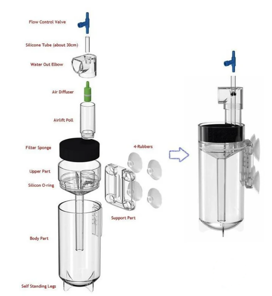 Top Rated Products - DiscusArt